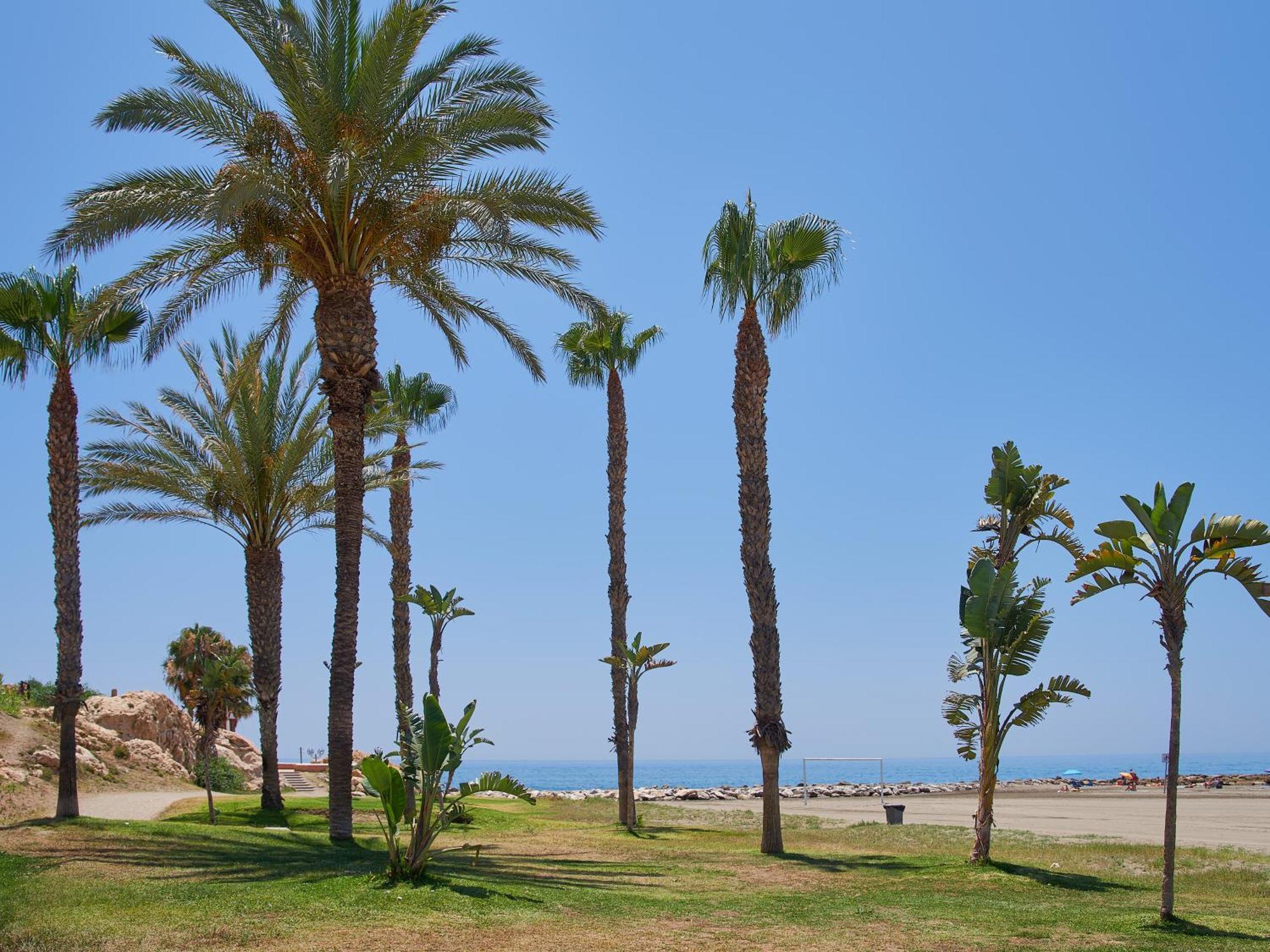Lovely Studio With Seaview 700M From The Beach La Cala Del Moral Zewnętrze zdjęcie